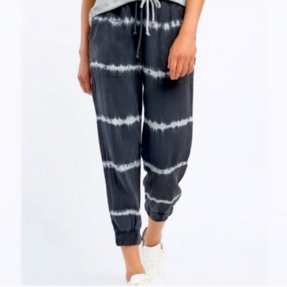 Cloth & Stone Anthropologie Jogger Pants Gray XS - Picture 1 of 8